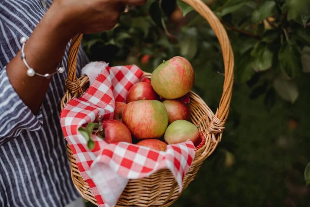 Woman's arm holding a basket of apples for fall activities for introverts article.